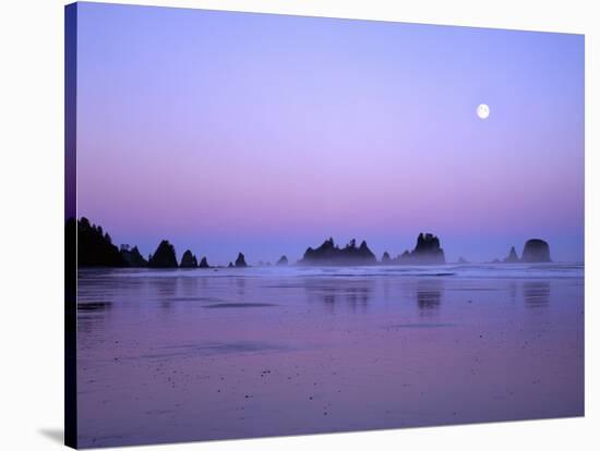 Full moon above seastacks, Olympic National Park, Washington, USA-Charles Gurche-Stretched Canvas