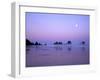 Full moon above seastacks, Olympic National Park, Washington, USA-Charles Gurche-Framed Photographic Print