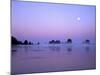 Full moon above seastacks, Olympic National Park, Washington, USA-Charles Gurche-Mounted Photographic Print