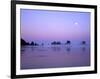 Full moon above seastacks, Olympic National Park, Washington, USA-Charles Gurche-Framed Photographic Print