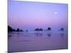 Full moon above seastacks, Olympic National Park, Washington, USA-Charles Gurche-Mounted Photographic Print