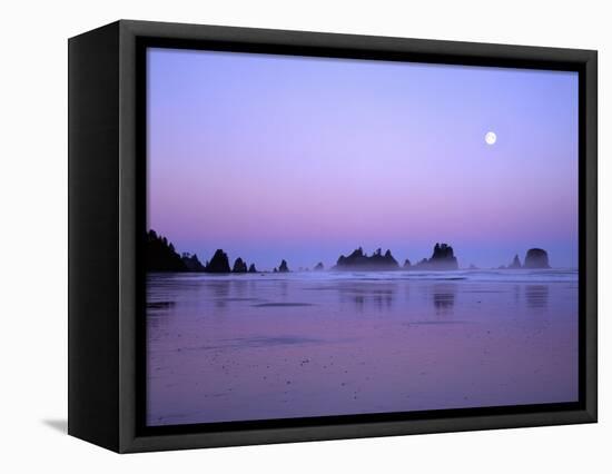 Full moon above seastacks, Olympic National Park, Washington, USA-Charles Gurche-Framed Stretched Canvas