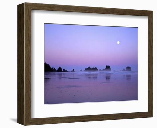 Full moon above seastacks, Olympic National Park, Washington, USA-Charles Gurche-Framed Photographic Print