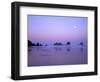 Full moon above seastacks, Olympic National Park, Washington, USA-Charles Gurche-Framed Photographic Print