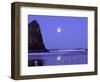 Full Moon and Seagulls at Sunrise, Cannon Beach, Oregon, USA-Janell Davidson-Framed Photographic Print