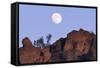 Full Moon, High Peaks, Pinnacles National Monument, California, USA-Gerry Reynolds-Framed Stretched Canvas