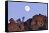 Full Moon, High Peaks, Pinnacles National Monument, California, USA-Gerry Reynolds-Framed Stretched Canvas