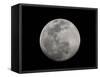 Full Moon in Black and White-Arthur Morris-Framed Stretched Canvas