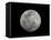 Full Moon in Black and White-Arthur Morris-Framed Stretched Canvas