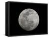 Full Moon in Black and White-Arthur Morris-Framed Stretched Canvas