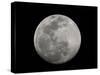 Full Moon in Black and White-Arthur Morris-Stretched Canvas