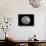 Full Moon in Black and White-Arthur Morris-Stretched Canvas displayed on a wall