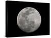 Full Moon in Black and White-Arthur Morris-Stretched Canvas