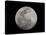 Full Moon in Black and White-Arthur Morris-Stretched Canvas