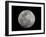 Full Moon in Black and White-Arthur Morris-Framed Premium Photographic Print