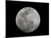 Full Moon in Black and White-Arthur Morris-Mounted Premium Photographic Print