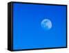 Full Moon in Blue Sky-Adam Jones-Framed Stretched Canvas