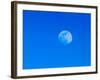Full Moon in Blue Sky-Adam Jones-Framed Photographic Print
