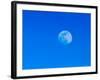 Full Moon in Blue Sky-Adam Jones-Framed Photographic Print