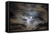 Full Moon in Clouds-null-Framed Stretched Canvas
