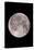 Full Moon In the Night Sky-David Nunuk-Stretched Canvas