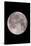 Full Moon In the Night Sky-David Nunuk-Stretched Canvas