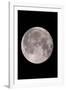 Full Moon In the Night Sky-David Nunuk-Framed Photographic Print