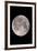 Full Moon In the Night Sky-David Nunuk-Framed Photographic Print