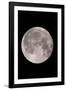 Full Moon In the Night Sky-David Nunuk-Framed Photographic Print