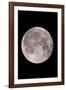 Full Moon In the Night Sky-David Nunuk-Framed Photographic Print