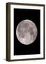 Full Moon In the Night Sky-David Nunuk-Framed Photographic Print