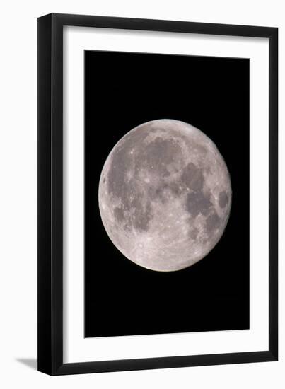 Full Moon In the Night Sky-David Nunuk-Framed Photographic Print