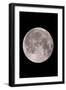 Full Moon In the Night Sky-David Nunuk-Framed Photographic Print