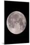 Full Moon In the Night Sky-David Nunuk-Mounted Photographic Print