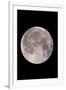 Full Moon In the Night Sky-David Nunuk-Framed Photographic Print