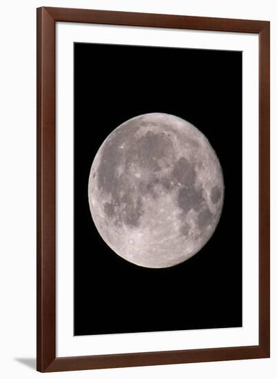 Full Moon In the Night Sky-David Nunuk-Framed Photographic Print