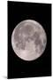 Full Moon In the Night Sky-David Nunuk-Mounted Photographic Print