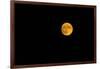 Full moon in the sky at night-null-Framed Photographic Print