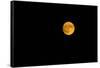 Full moon in the sky at night-null-Framed Stretched Canvas