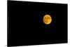 Full moon in the sky at night-null-Stretched Canvas