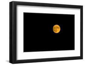 Full moon in the sky at night-null-Framed Photographic Print