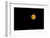 Full moon in the sky at night-null-Framed Photographic Print