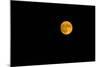 Full moon in the sky at night-null-Mounted Photographic Print