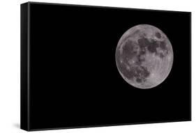 Full Moon Isolated on a Black Sky-Steve Collender-Framed Stretched Canvas