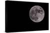 Full Moon Isolated on a Black Sky-Steve Collender-Stretched Canvas