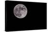 Full Moon Isolated on a Black Sky-Steve Collender-Stretched Canvas