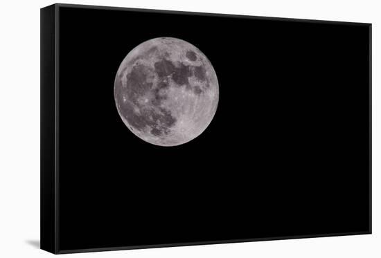 Full Moon Isolated on a Black Sky-Steve Collender-Framed Stretched Canvas