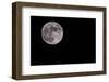 Full Moon Isolated on a Black Sky-Steve Collender-Framed Photographic Print