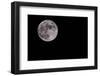 Full Moon Isolated on a Black Sky-Steve Collender-Framed Photographic Print