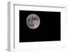 Full Moon Isolated on a Black Sky-Steve Collender-Framed Photographic Print